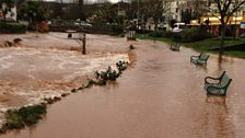 Dawlish