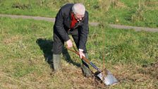 Tree Planting