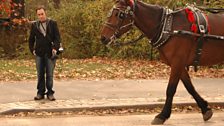 Aled and a horse