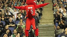 The Raptors mascot - not the big one that can swallow cheerleaders whole, though