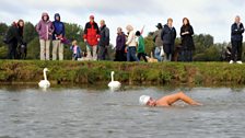 Luckily the swans aren't giving David any bother.