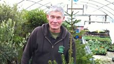 Rudie Bertins from Rudies Roots Nurseries