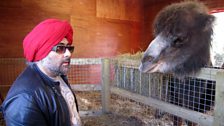 Hardeep at London Zoo