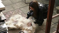 Cheryl plays with Jo's dog.