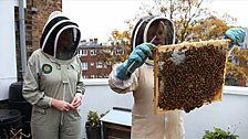 Bee keepers in London