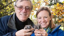 Young hedgehogs too small to survive hibernation