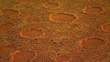 Fairy circles