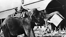 Orwell's essay 'Shooting an Elephant' was published in 1936