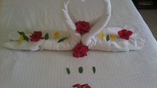 Towel sculptures! - 4