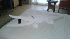 Towel sculptures! - 7