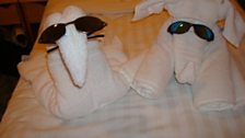 Towel sculptures! - 8