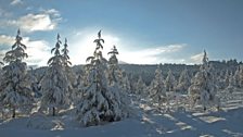 Snow in the Atlas mountains