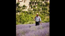 French gardens: In pictures