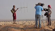 Tracking lions