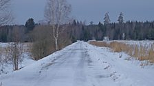 View towards the Taiga along the ice roads of Sweden