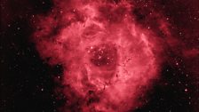 Rosette nebula