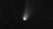 Comet PanSTARRS