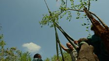 Lifting a rhino