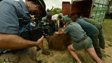 Filming a rhino move