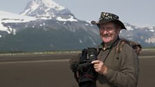 The Bears of Alaska: In pictures