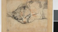 Federico Barocci, Study for a cat