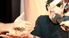 Greg's Creepy Crawlie Challenge