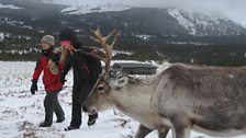 In the Cairngorms