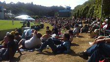 The grassy bank at Dunedin