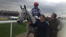 Cheltenham 2013: Simonsig wins the Arkle Challenge Trophy