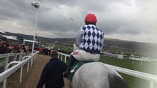 Cheltenham 2013: Simonsig wins the Arkle Challenge Trophy