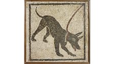 Mosaic of a guard dog. From the House of Orpheus, Pompeii, 1st century AD.