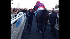 Cheltenham 2013: Sprinter Sacre post victory