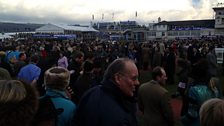 Cheltenham 2013: The Winners Enclosure