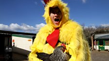 Greg James is Chickens - A Cock in the Coop