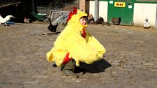 Greg James is Chickens - A Cock in the Coop