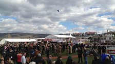 5 live at the 2013 Cheltenham Festival