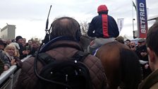 Cheltenham 2013: Bobs Worth after winning the Gold Cup