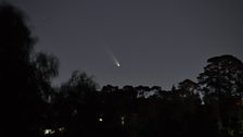 Comet PANSTARRS over Victoria, Australia