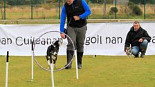 Donald MacSween and Bud the Collie – Photo courtesy of Paul MacMaster