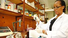 Botanist Flora Abdul Rahman Ismail in her laboratory