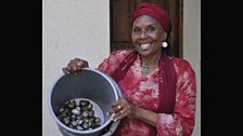 Marine biologist Narriman Jiddawi works in Zanzibar. She is holding a bucket of cockles. Credit: Penny Dale