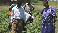 Botanist Flora Abdul Rahman Ismail looks over some crops