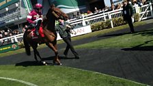 Grand National: First Lieutenant in the parade ring