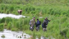 Crossing the Brooks River