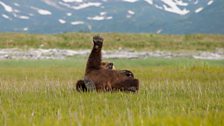 Stretching after a long day...