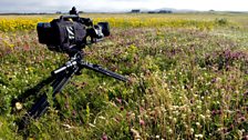 At the South Uist Machair