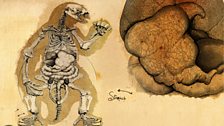 Shasta ground sloth