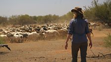 Kate Humble helps to corral the sheep at Meka Station,