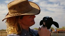 Kate Humble getting to know the sheep at Meka Station.