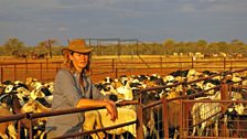 Kate Humble surveys the paddocks.